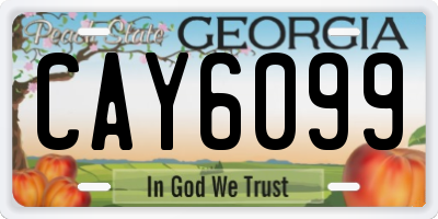 GA license plate CAY6099