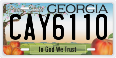 GA license plate CAY6110