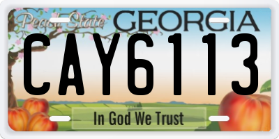 GA license plate CAY6113