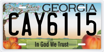 GA license plate CAY6115