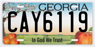 GA license plate CAY6119