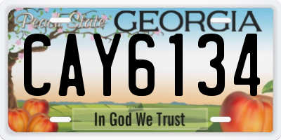 GA license plate CAY6134