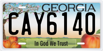 GA license plate CAY6140