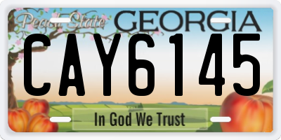 GA license plate CAY6145