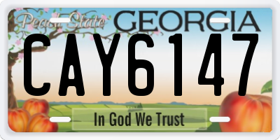 GA license plate CAY6147