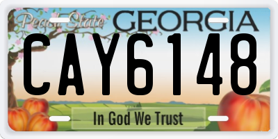 GA license plate CAY6148