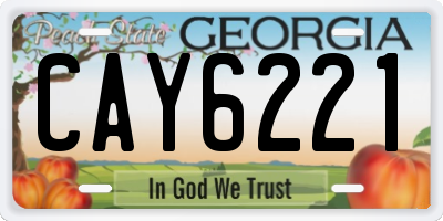 GA license plate CAY6221