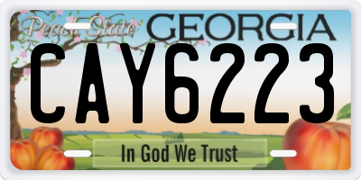GA license plate CAY6223