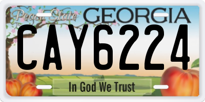 GA license plate CAY6224