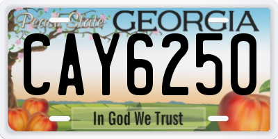 GA license plate CAY6250