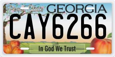 GA license plate CAY6266