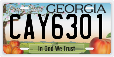 GA license plate CAY6301
