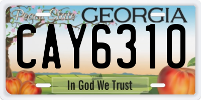 GA license plate CAY6310
