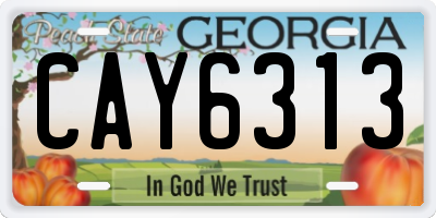 GA license plate CAY6313