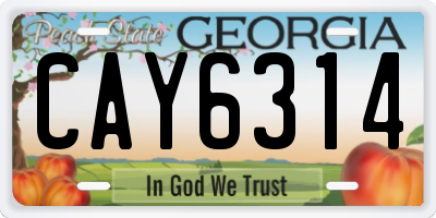 GA license plate CAY6314
