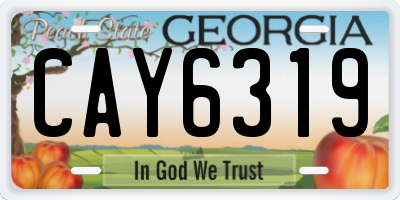 GA license plate CAY6319