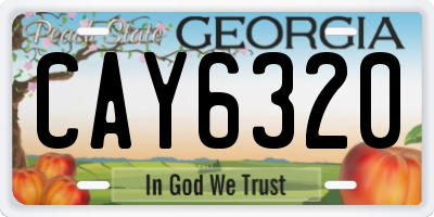 GA license plate CAY6320