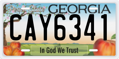 GA license plate CAY6341