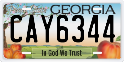 GA license plate CAY6344