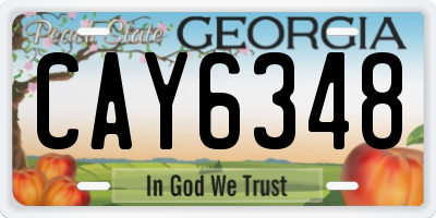 GA license plate CAY6348