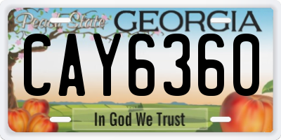 GA license plate CAY6360