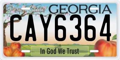 GA license plate CAY6364