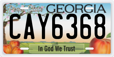 GA license plate CAY6368