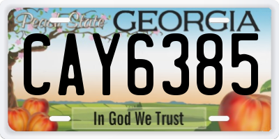 GA license plate CAY6385