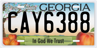 GA license plate CAY6388