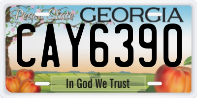 GA license plate CAY6390