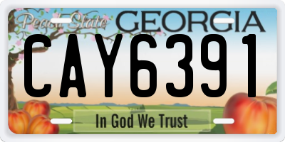 GA license plate CAY6391