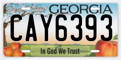 GA license plate CAY6393