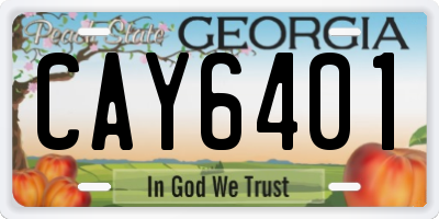 GA license plate CAY6401