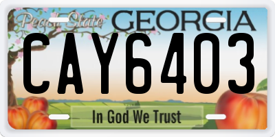 GA license plate CAY6403