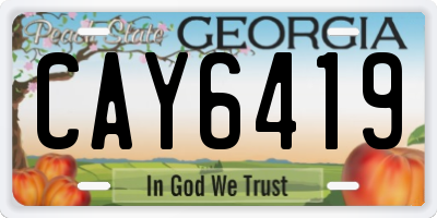 GA license plate CAY6419