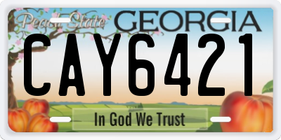 GA license plate CAY6421