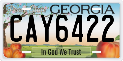 GA license plate CAY6422