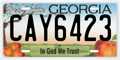 GA license plate CAY6423
