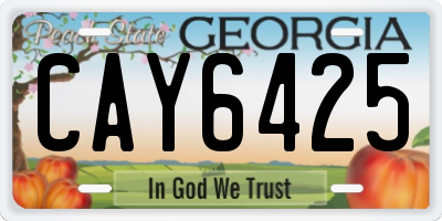 GA license plate CAY6425