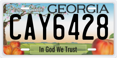 GA license plate CAY6428