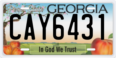 GA license plate CAY6431