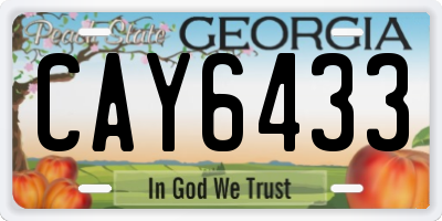 GA license plate CAY6433