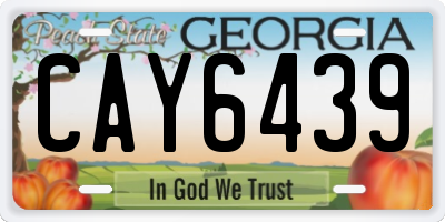 GA license plate CAY6439