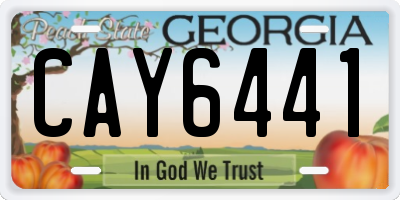 GA license plate CAY6441