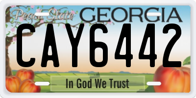 GA license plate CAY6442
