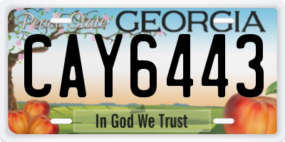 GA license plate CAY6443