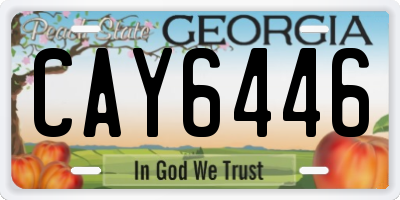 GA license plate CAY6446