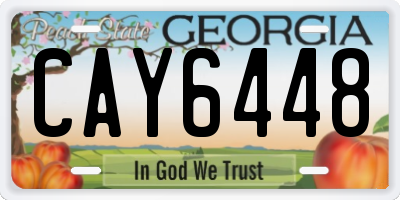 GA license plate CAY6448