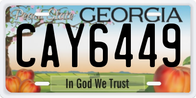 GA license plate CAY6449