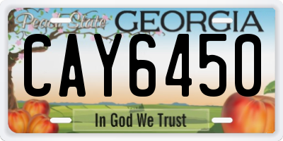 GA license plate CAY6450